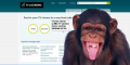 BBC TV Licensing Recruitment Advert?